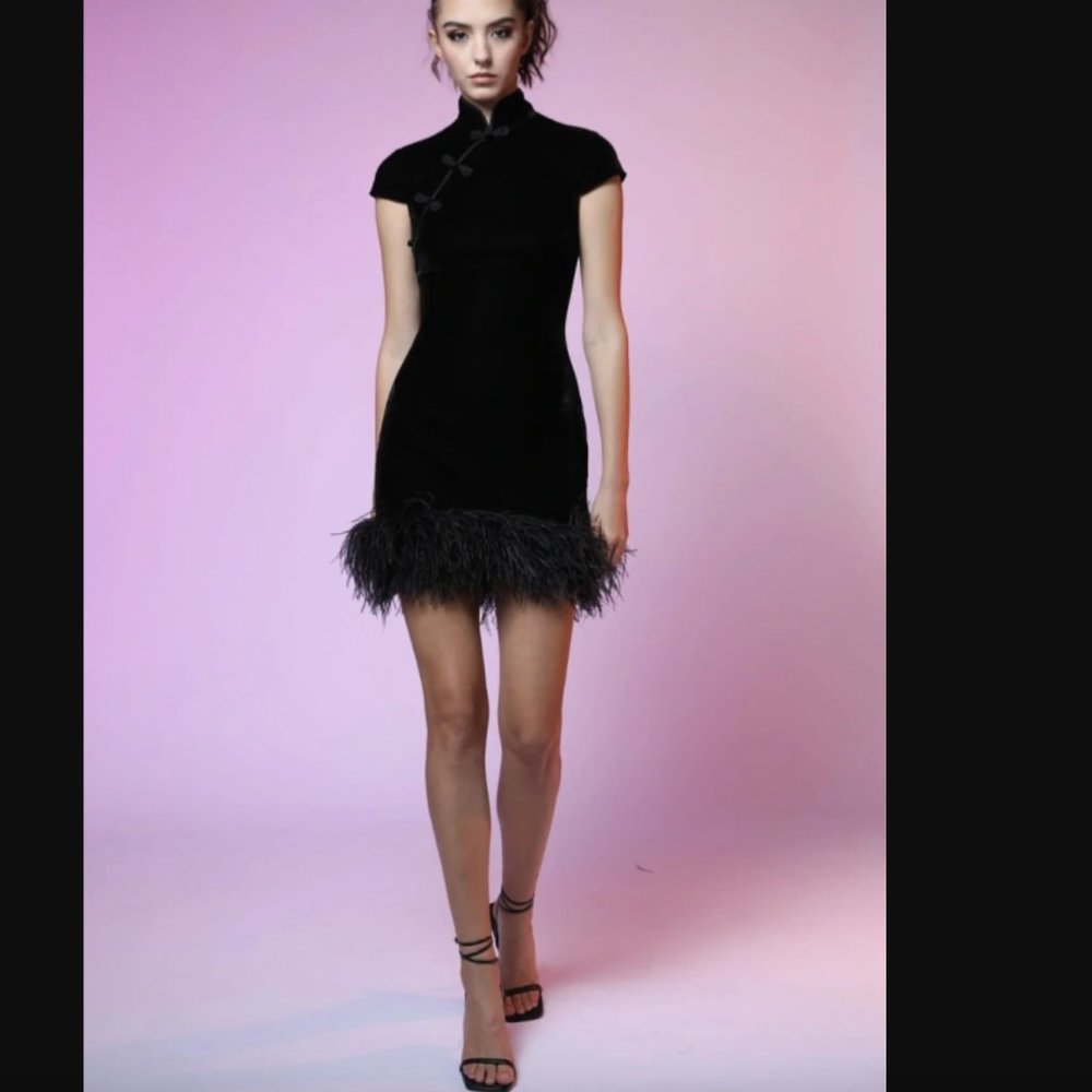 SAU LEE NWT Morgan Dress in Black Morgan Dress in Black velvet and fur  size 0